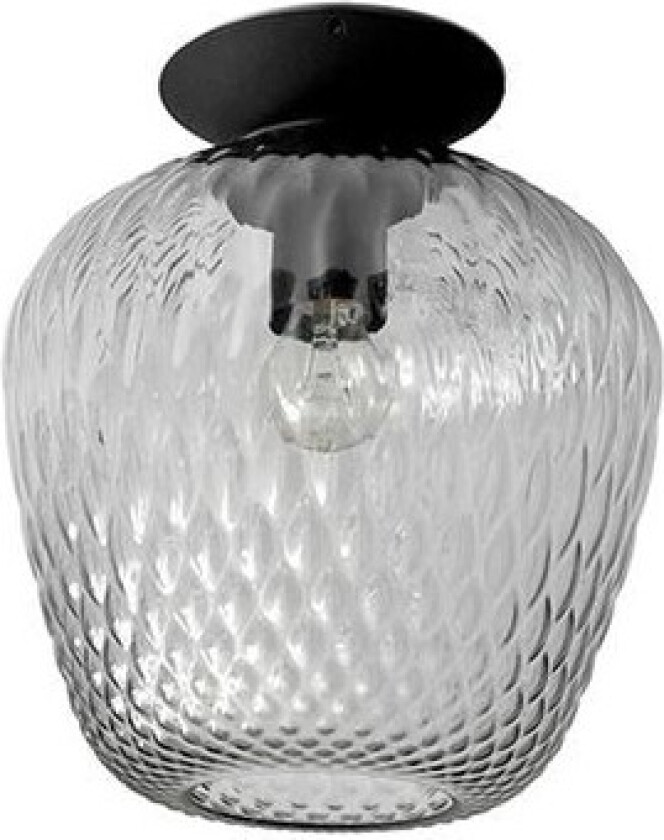 - Blown Taklampe SW5 Silver Lustre & Black