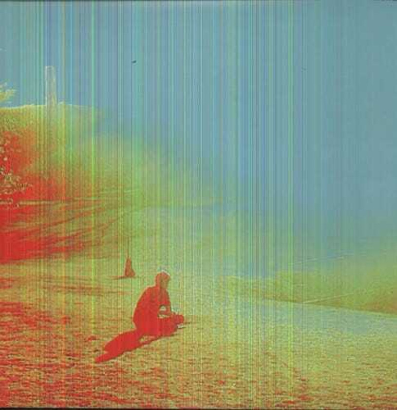 The Flaming Lips Terror LP/Vinyl