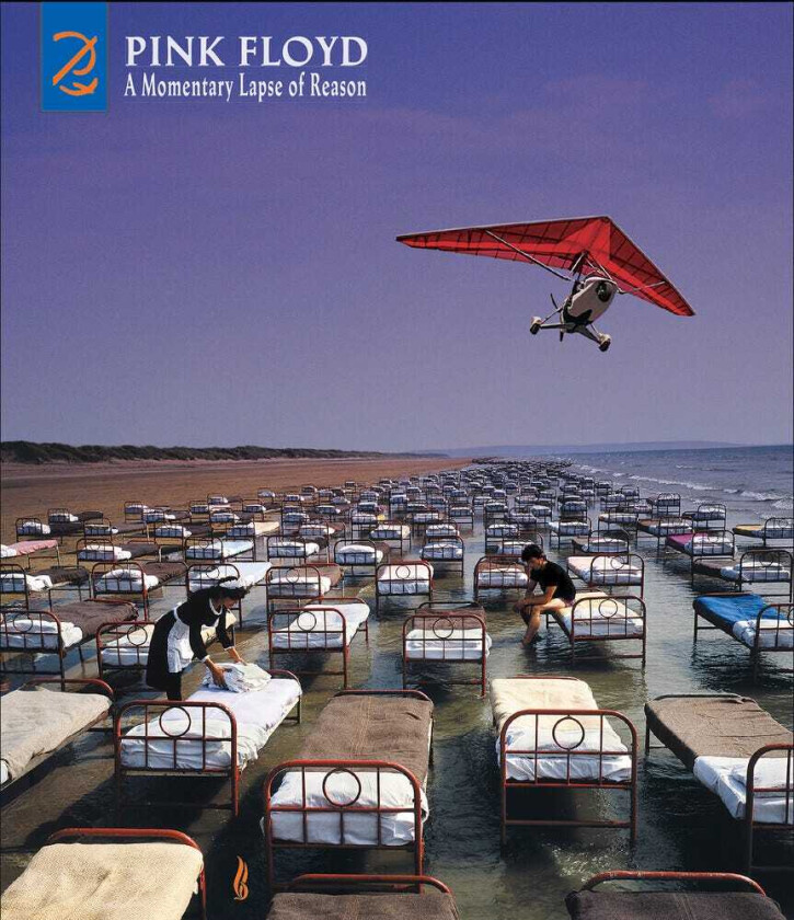 Pink Floyd Momentary Lapse Of Reason CD