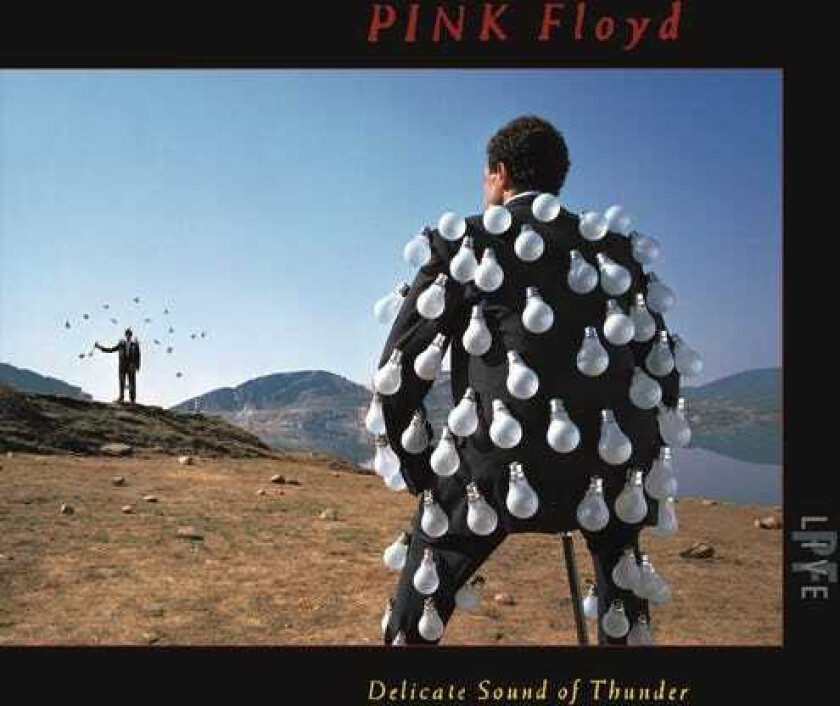 Pink Floyd Delicate Sound Of Thunder (live) CD