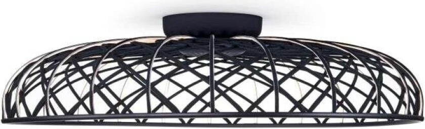 - Skynest C Vegg-/Taklampe Anthracite