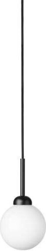 - Apiales 1 Pendel Black/Opal