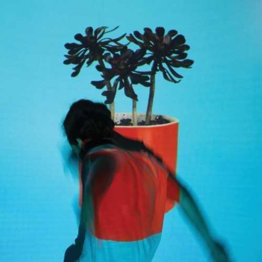 Local Natives Sunlit Youth CD