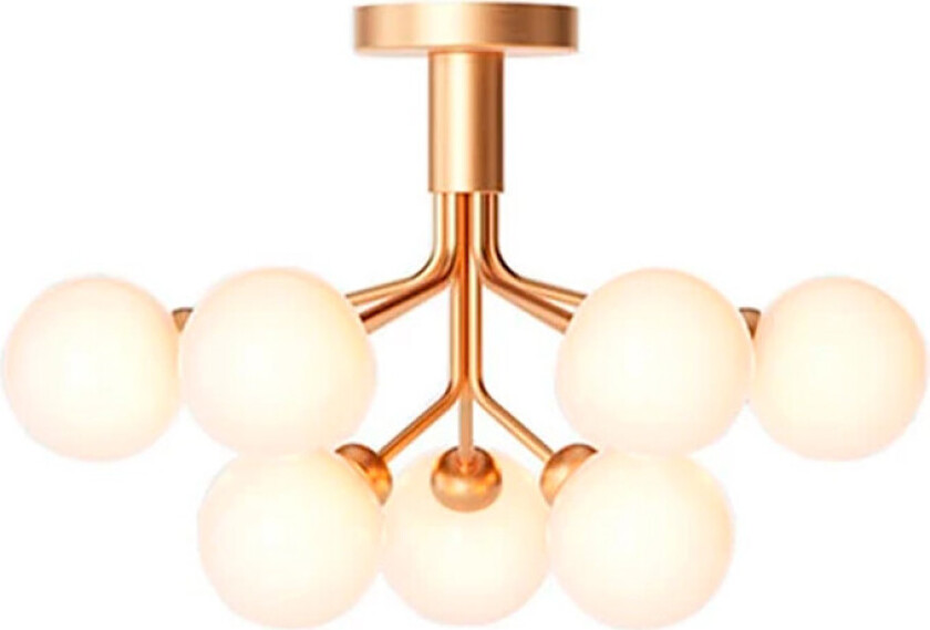 Bilde av - Apiales 9 Taklampe Brushed Brass