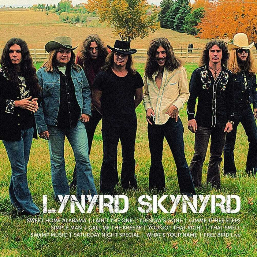 Lynyrd Skynyrd Icon LP/Vinyl