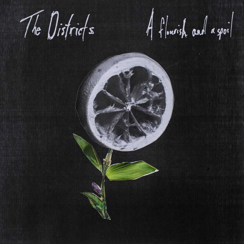The Districts Flourish And A Spoil LP/Vinyl