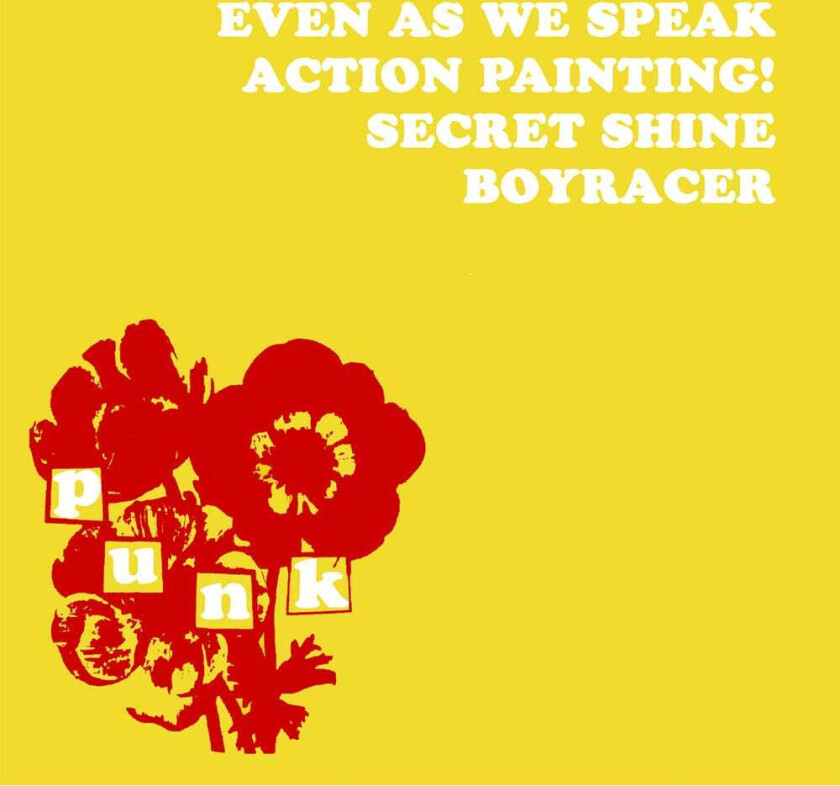 Diverse Artister 4 Band Compilatoin: Sarah Records LP/Vinyl