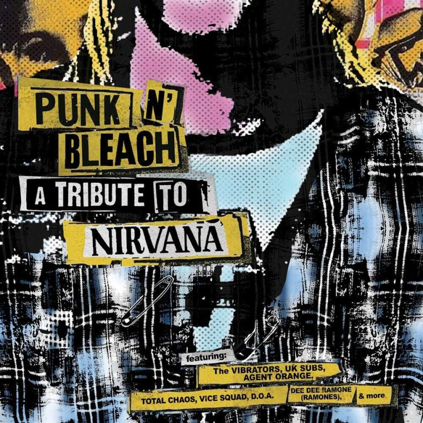 The Vibrators Punk N' Bleach A Punk Tribute To Nirvana CD