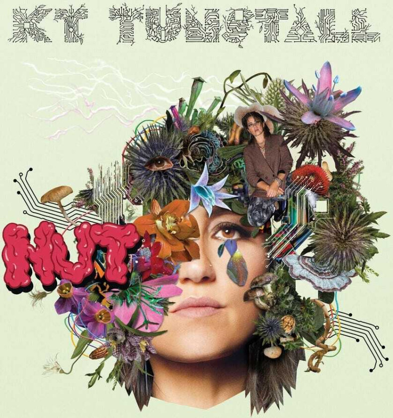 KT Tunstall Nut CD