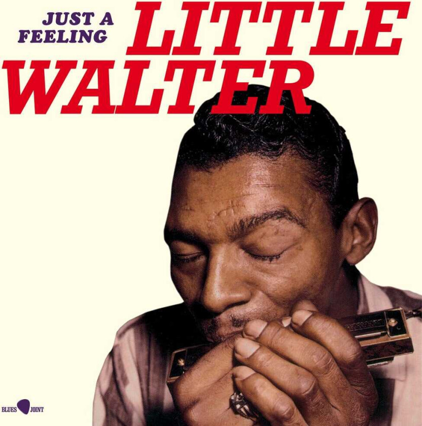 Little Walter Just A Feeling LP/Vinyl