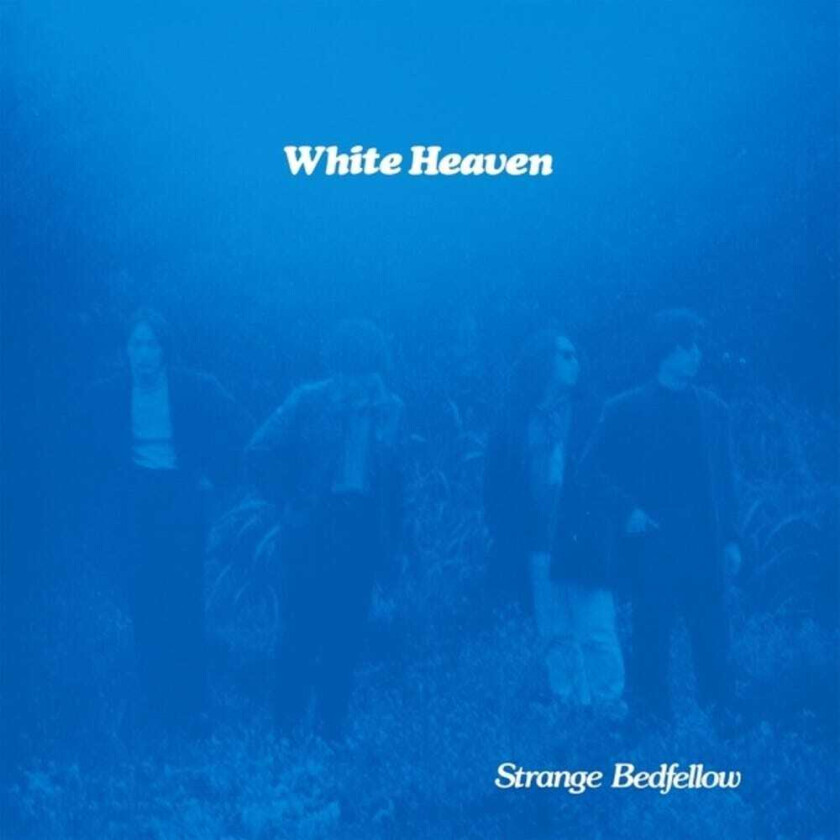 White Heaven Strange Bedfellow LP/Vinyl