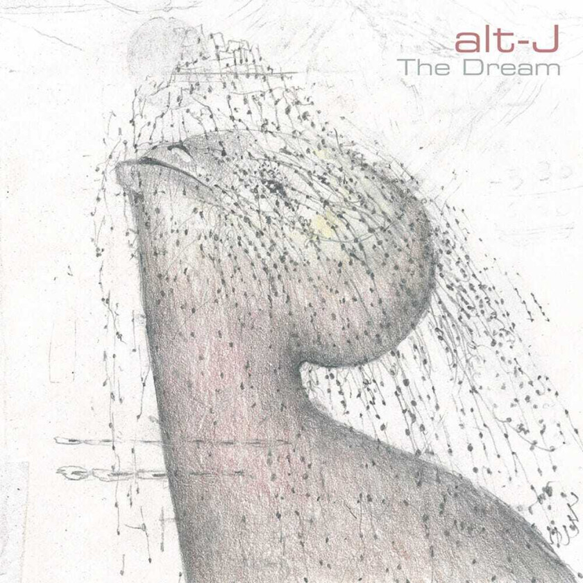 AltJ Dream LP/Vinyl
