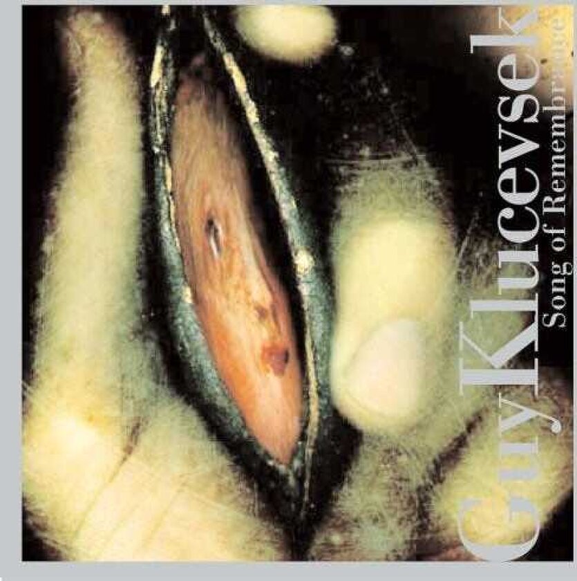 Guy Klucevsek Klucevek: Song Of Remembrance CD