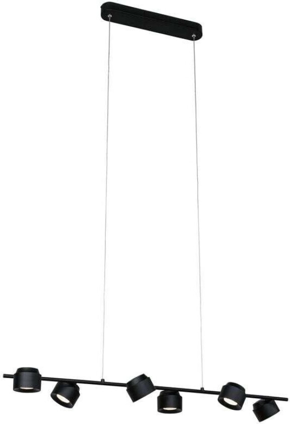 - Puric Pane 6 Pendel Zigbee/Dim. Black