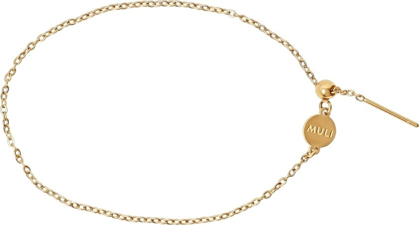 Charm Bracelet Gold