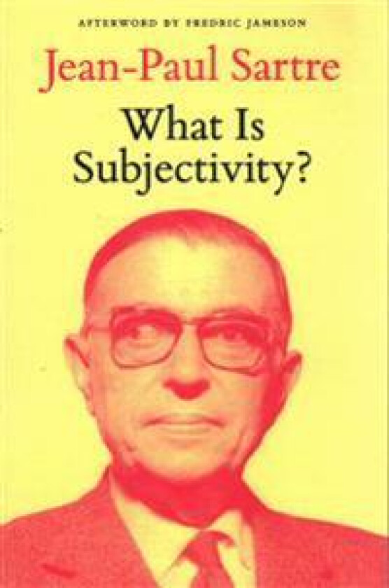 What Is Subjectivity?
