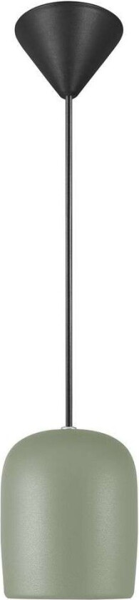 - Notti 10 Pendel Green