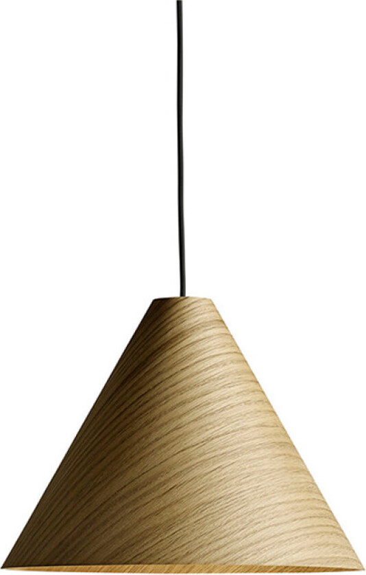 - 30 Degrees Pendel L w. Black Cord