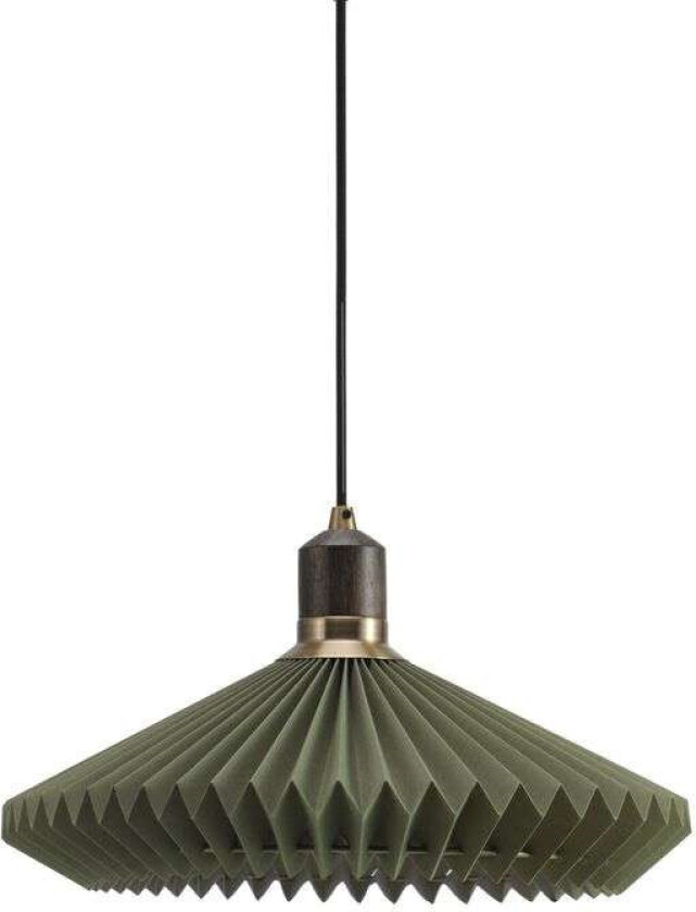 - Paris Pendel Ø40 Green/Black