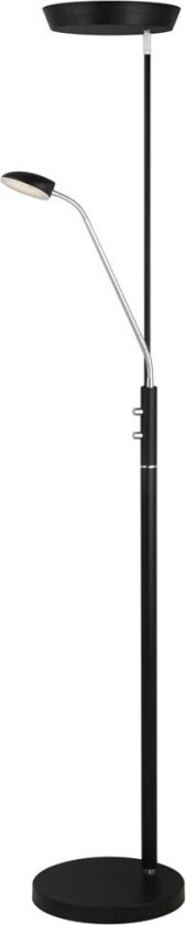 - Vegas Uplight Gulvlampe w/Dimmer Black