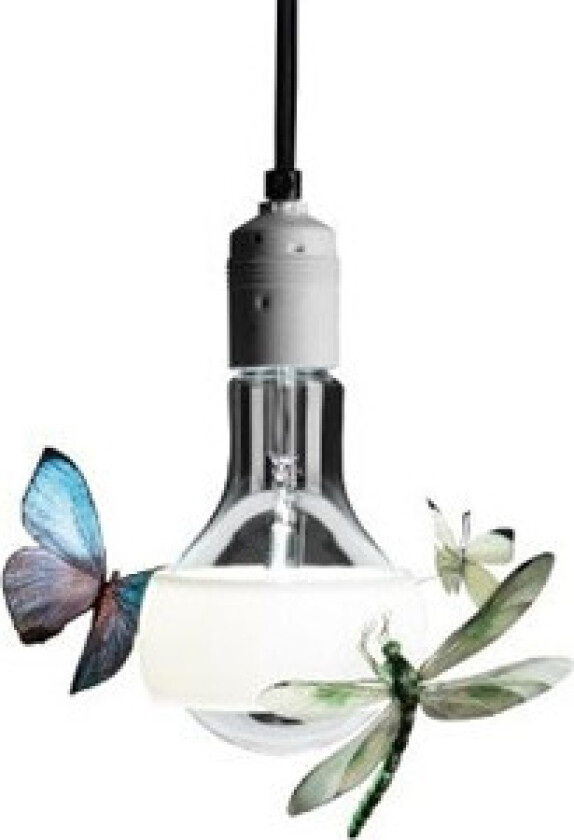 - Johnny B. Butterfly Pendel 170cm White