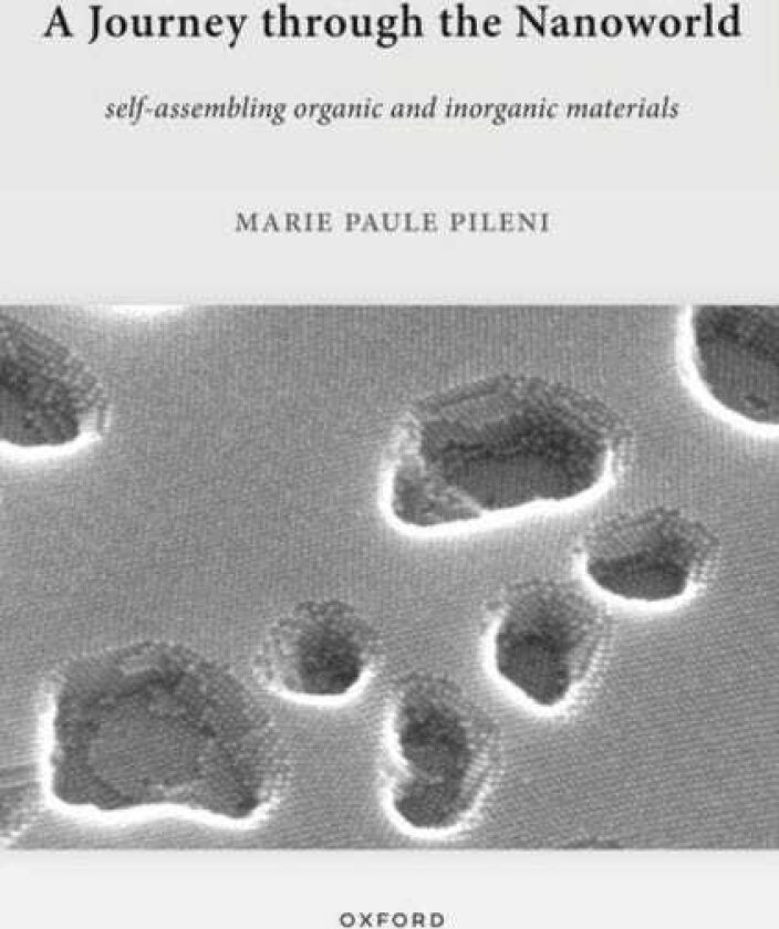 A Journey through the Nanoworld SelfAssembling Organic and Inorganic Materials