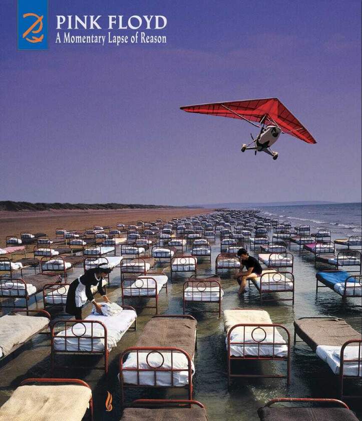Pink Floyd Momentary Lapse Of Reason CD