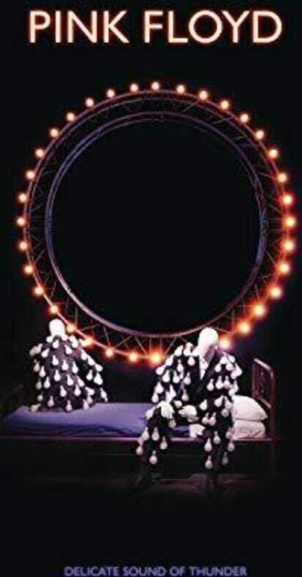 Pink Floyd Delicate Sound Of Thunder CD