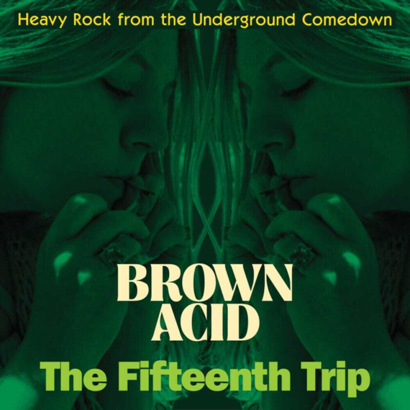 Diverse Artister Brown Acid The Fifteenth Trip / Var LP/Vinyl