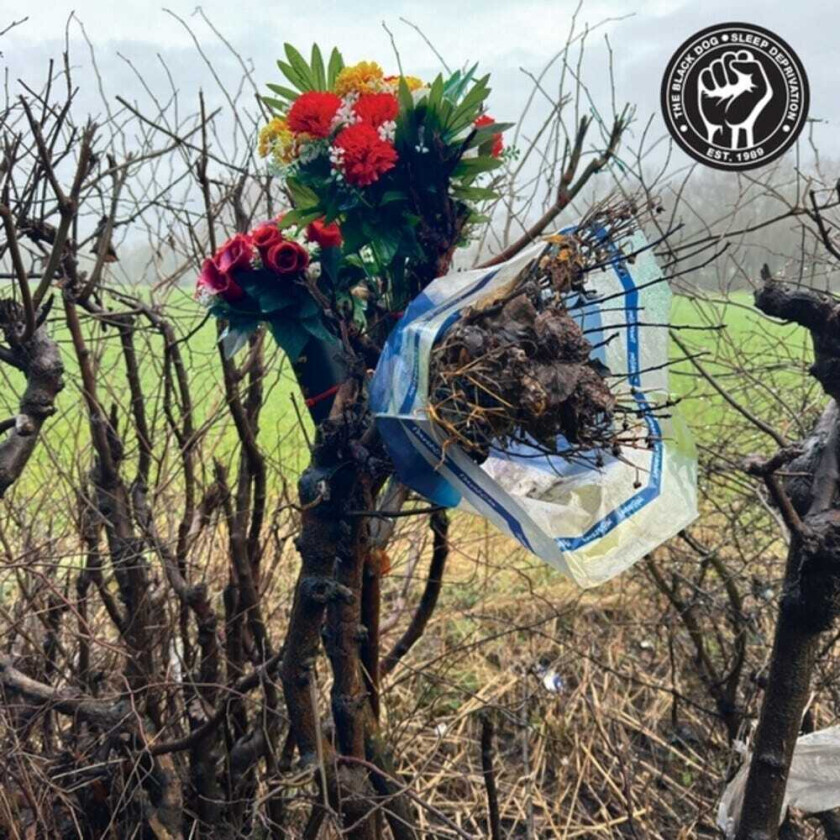 The Black Dog Sleep Deprivation CD