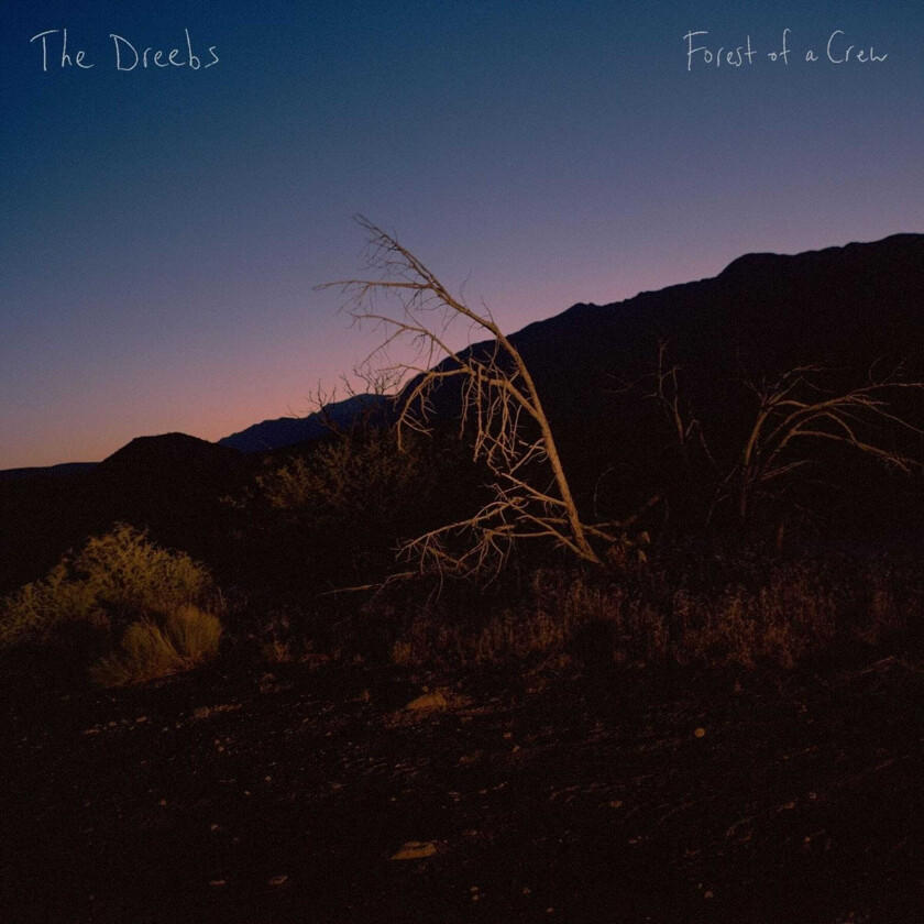 The Dreebs Forest Of A Crew LP/Vinyl