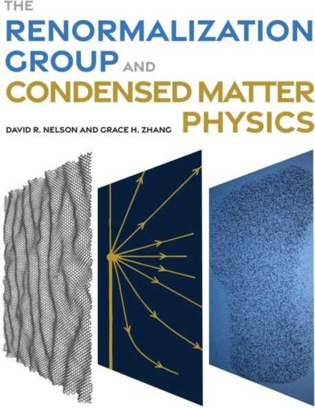 The Renormalization Group and Condensed Matter Physics