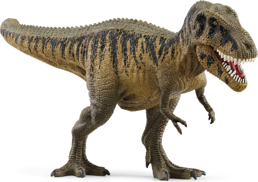 Dinosaurs Tarbosaurus Dinosaur Figur - 3+ år