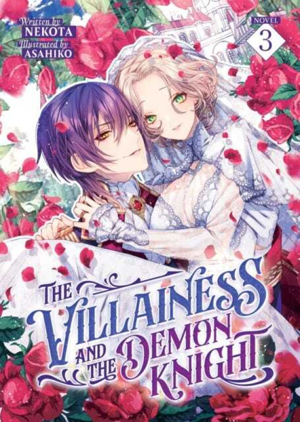 The Villainess and the Demon Knight (Light Novel) Vol. 3