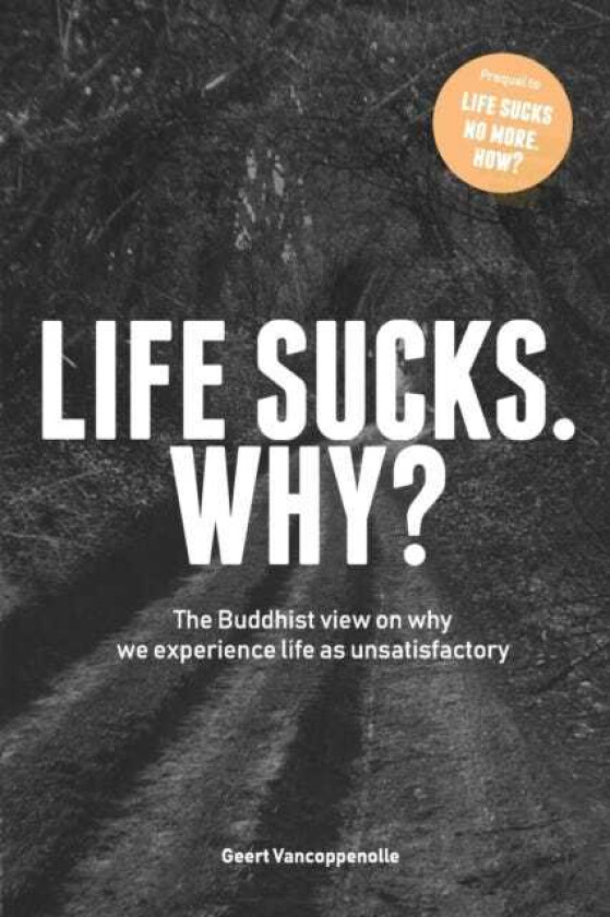 Life sucks. Why? The Buddhist view on why we experience life as unsatisfactory