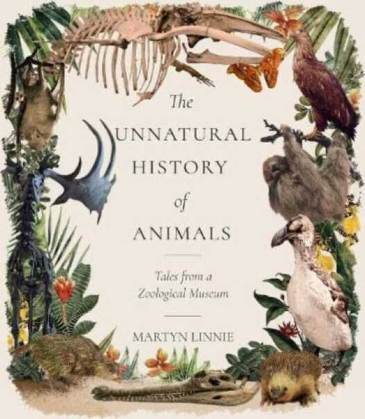 The Unnatural History of Animals Tales from a Zoological Museum