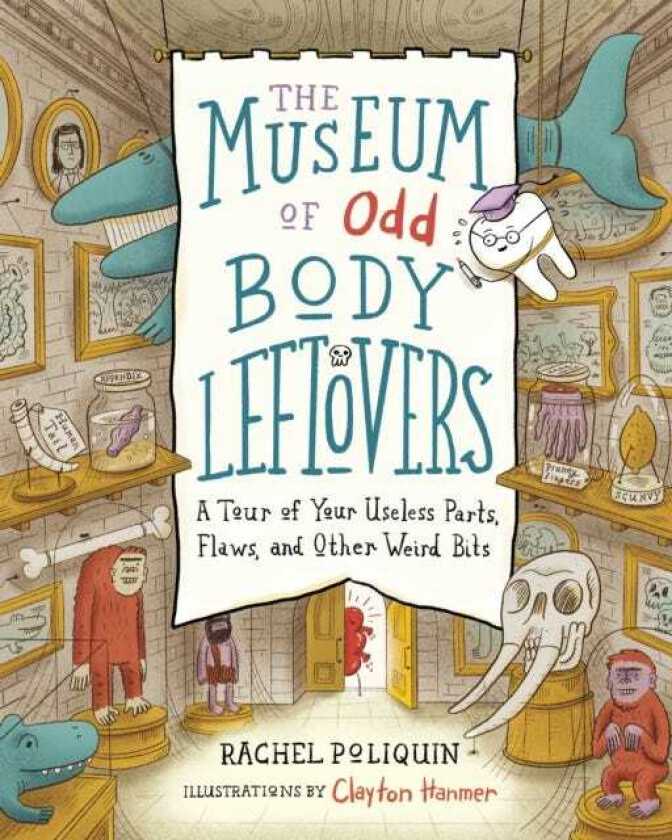 The Museum of Odd Body Leftovers A Tour of Your Useless Parts, Flaws, and Other Weird Bits