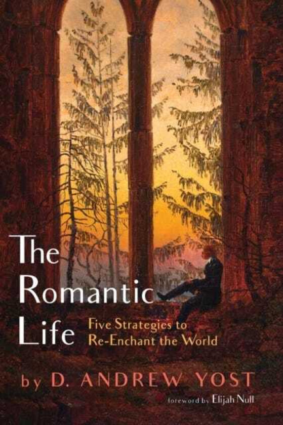 The Romantic Life Five Strategies to ReEnchant the World
