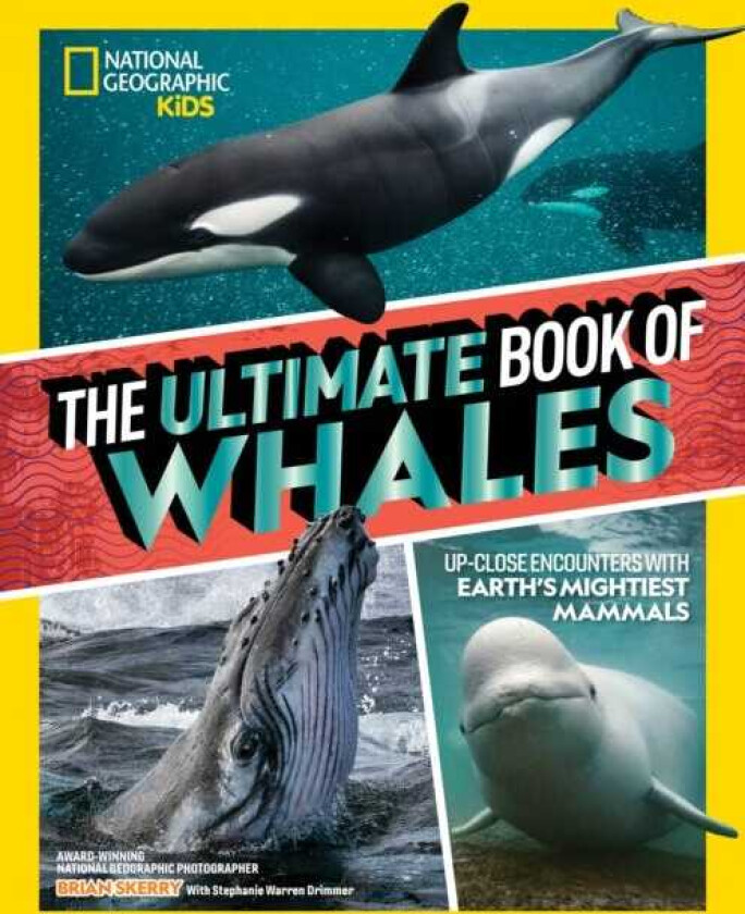 The Ultimate Book of Whales UpClose Encounters With Earth's Mightiest Mammals