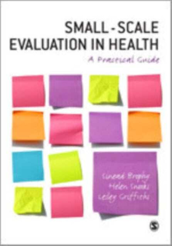 SmallScale Evaluation in Health A Practical Guide