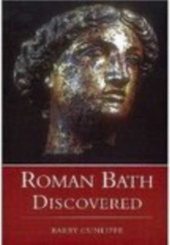 Roman Bath Discovered