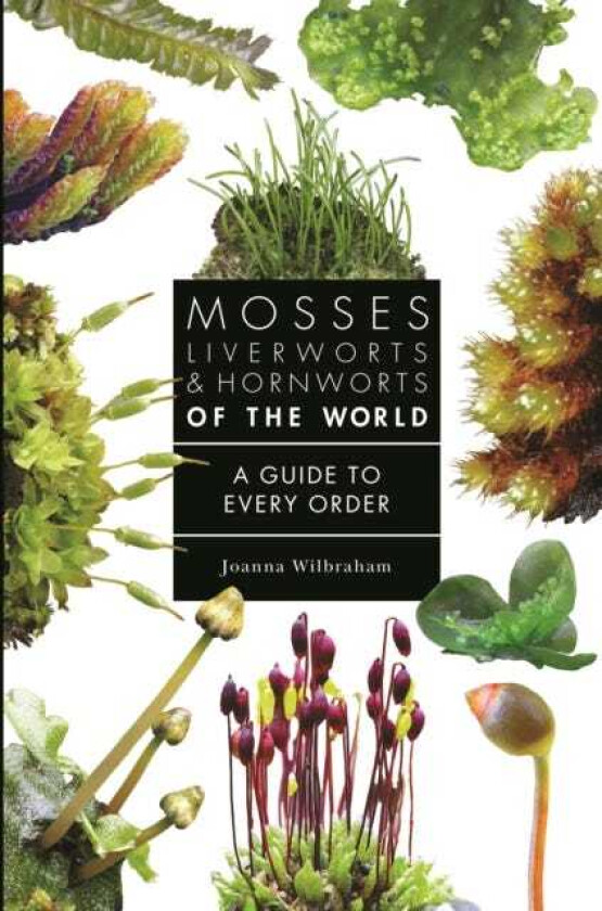 Mosses, Liverworts, and Hornworts of the World A Guide to Every Order