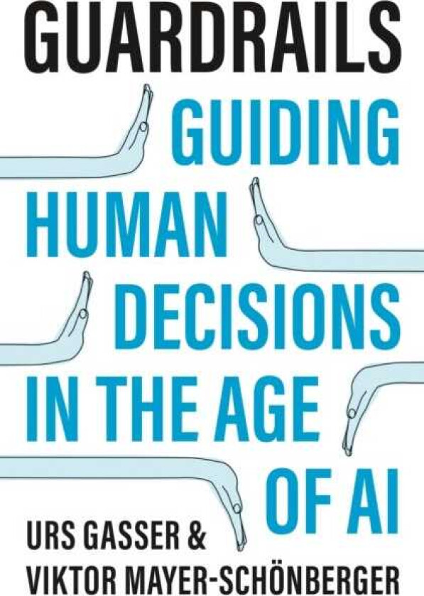 Guardrails Guiding Human Decisions in the Age of AI