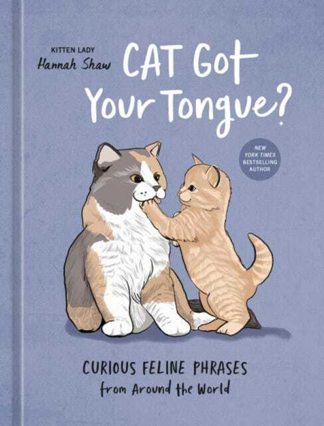 Cat Got Your Tongue? Curious Feline Phrases from Around the World