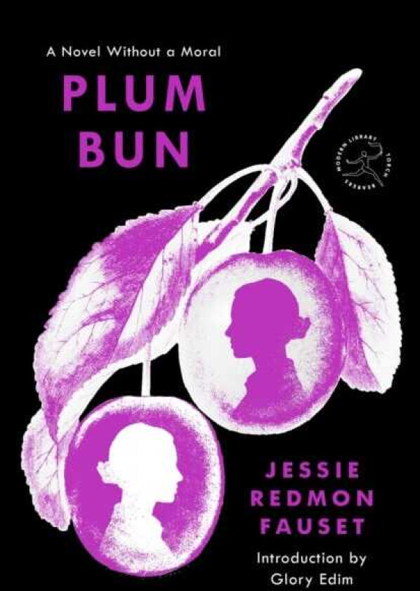 Plum Bun A Novel Without a Moral