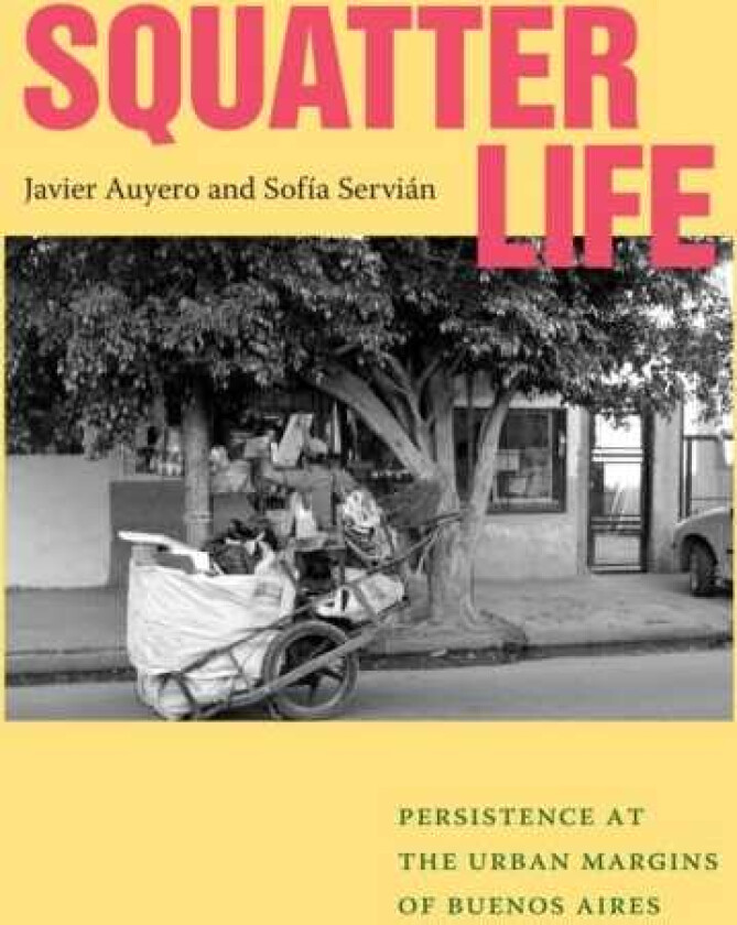 Squatter Life Persistence at the Urban Margins of Buenos Aires