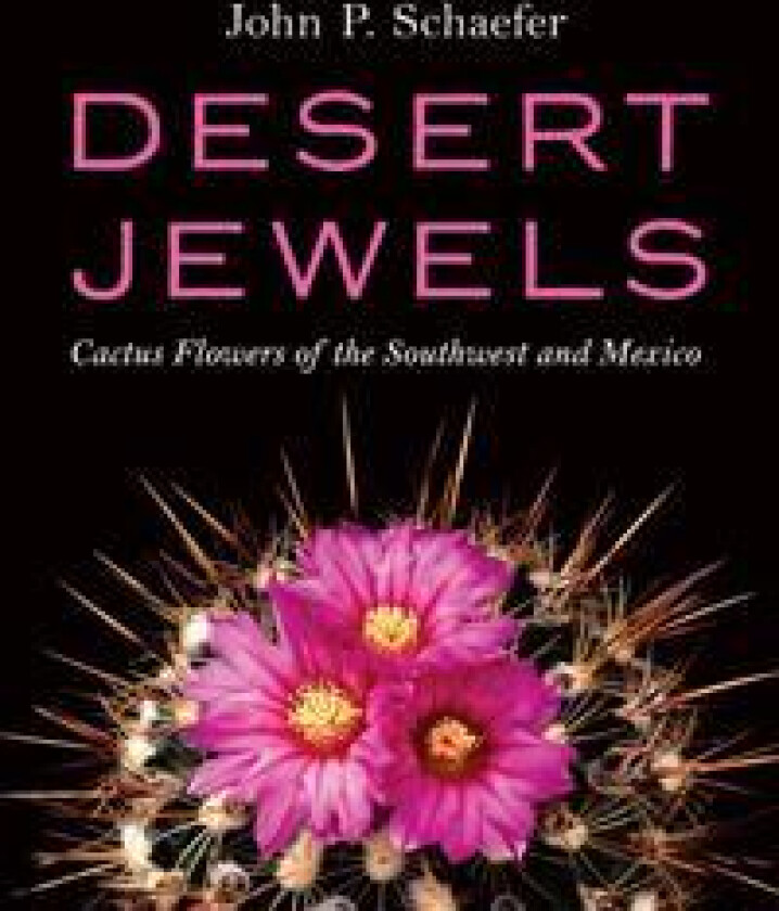 Desert Jewels