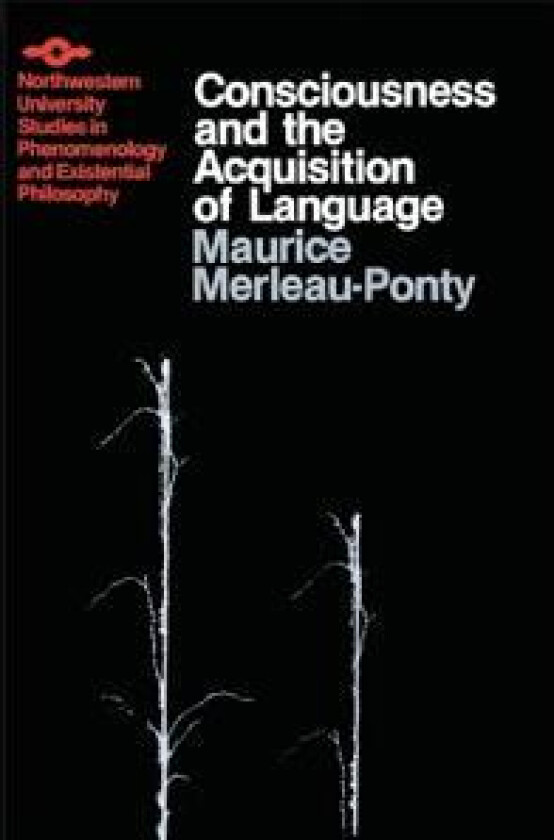 Consciousness and the Acquisition of Language