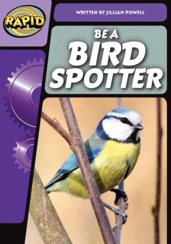 Rapid Phonics Step 3: Be a Bird Spotter (Non-fiction) av Jillian Powell