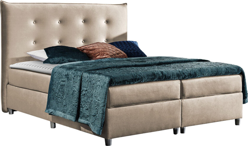 Prato Kontinentalseng 120x20 cm